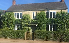 Ivy Cottage B And B